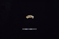 陶把藏品圖，第2張